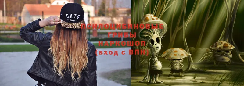 как найти закладки  Ульяновск  Галлюциногенные грибы Psilocybe 